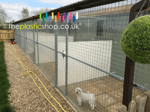 Dog Kennels with Polycarbonate Sheet wind barrier